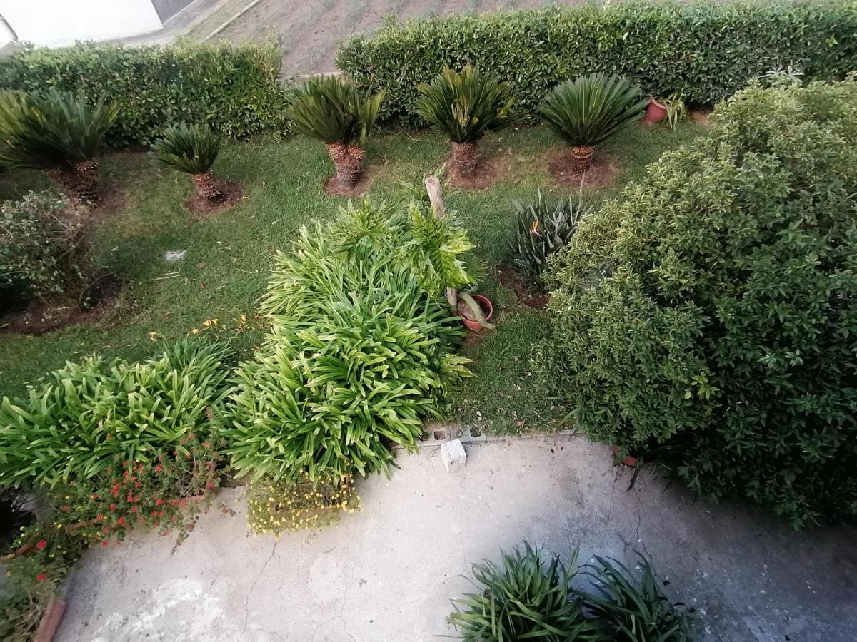 B&B Cilento Paestum Exterior foto