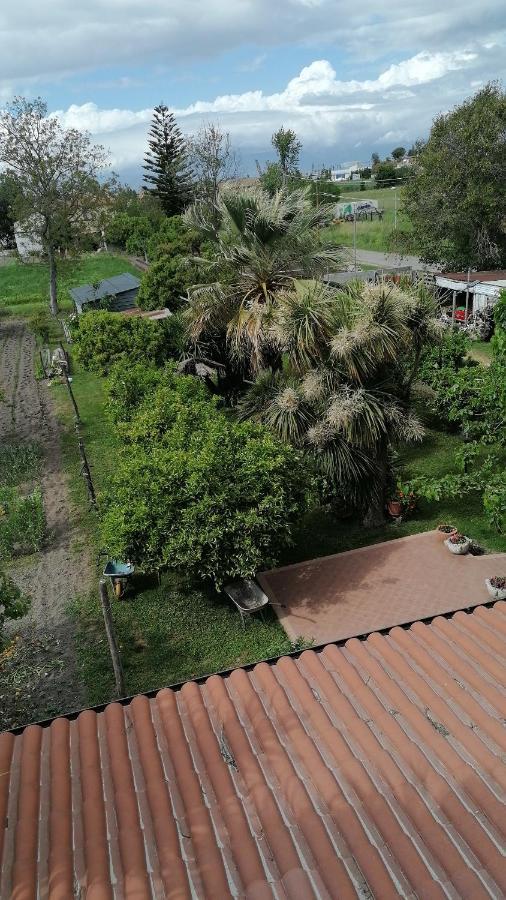 B&B Cilento Paestum Exterior foto