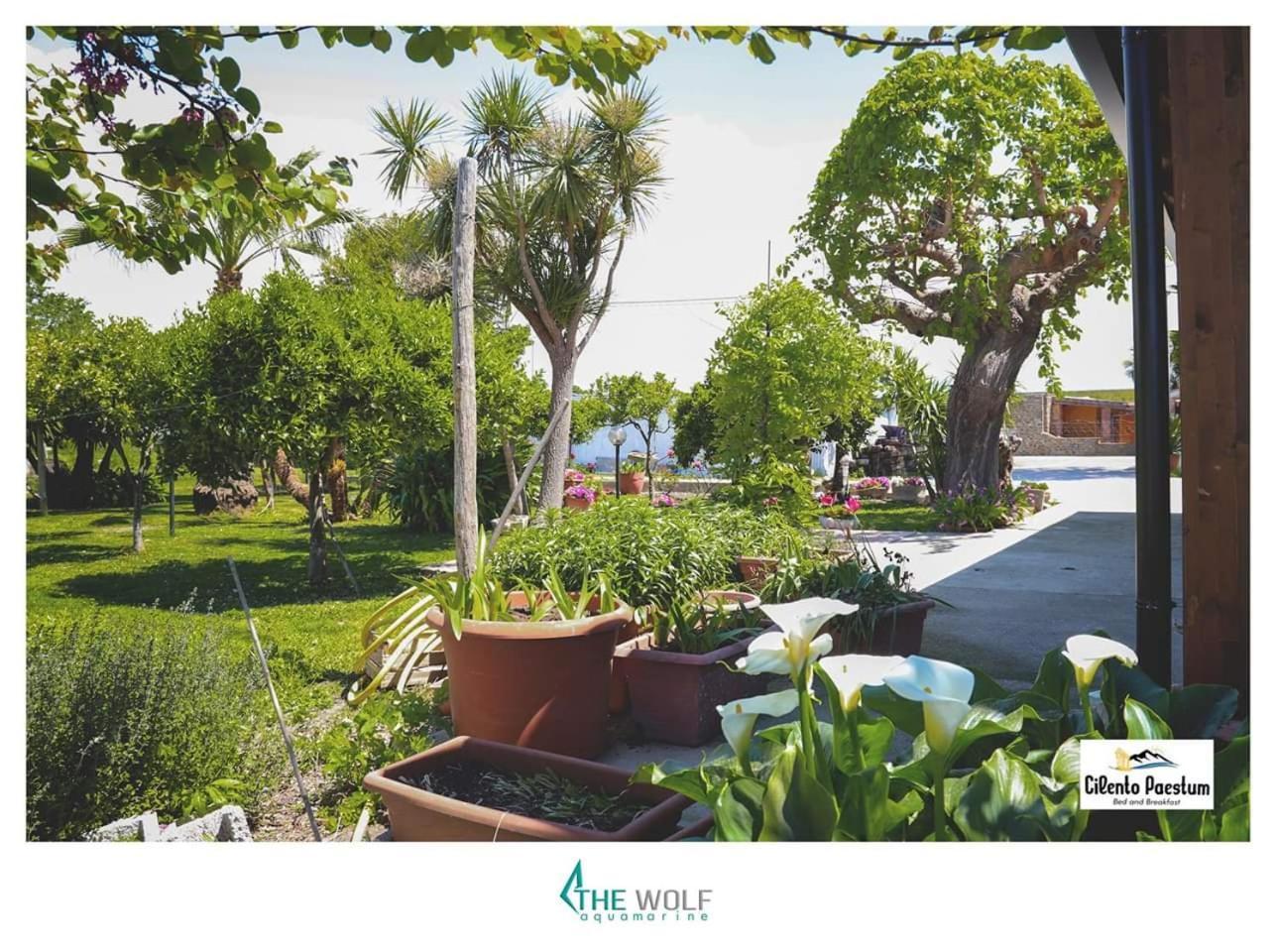 B&B Cilento Paestum Exterior foto